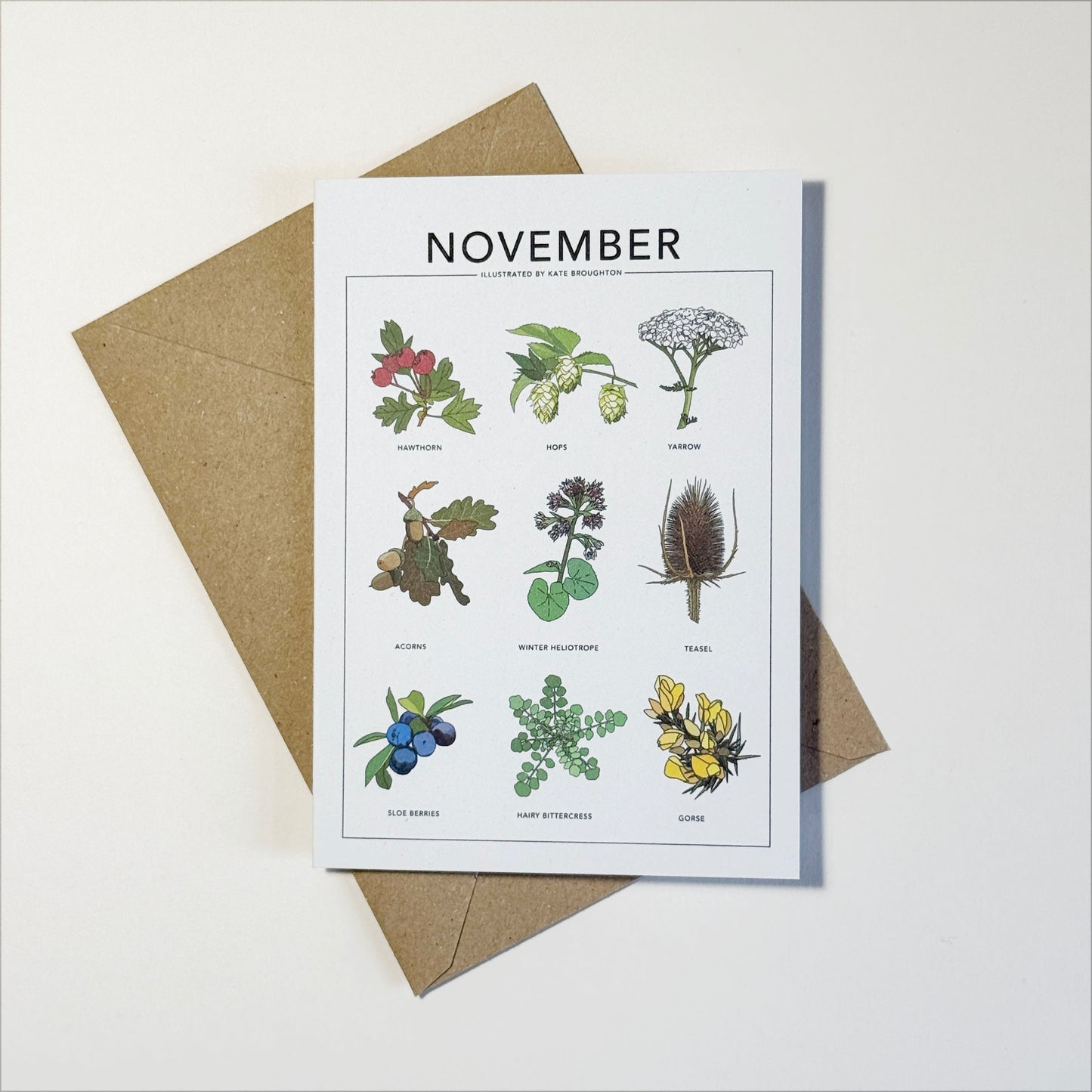 Illustrated month card - seasonal wild plants & flowers