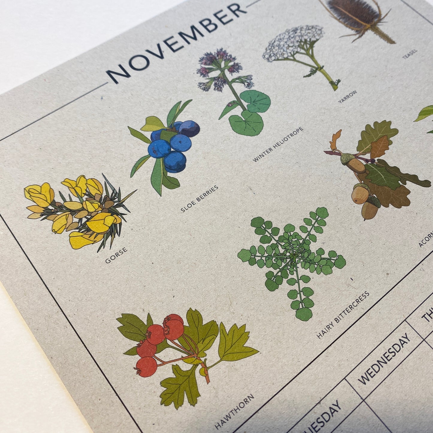 2024 Illustrated Wall Calendar