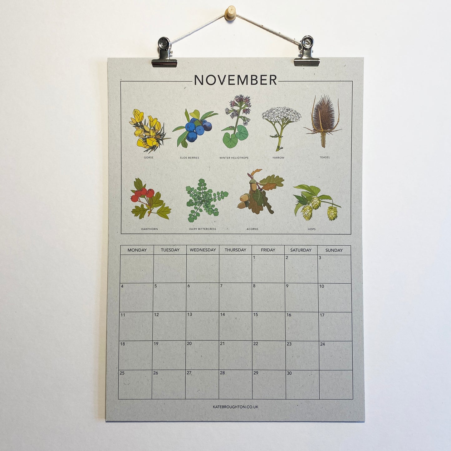 2024 Illustrated Wall Calendar