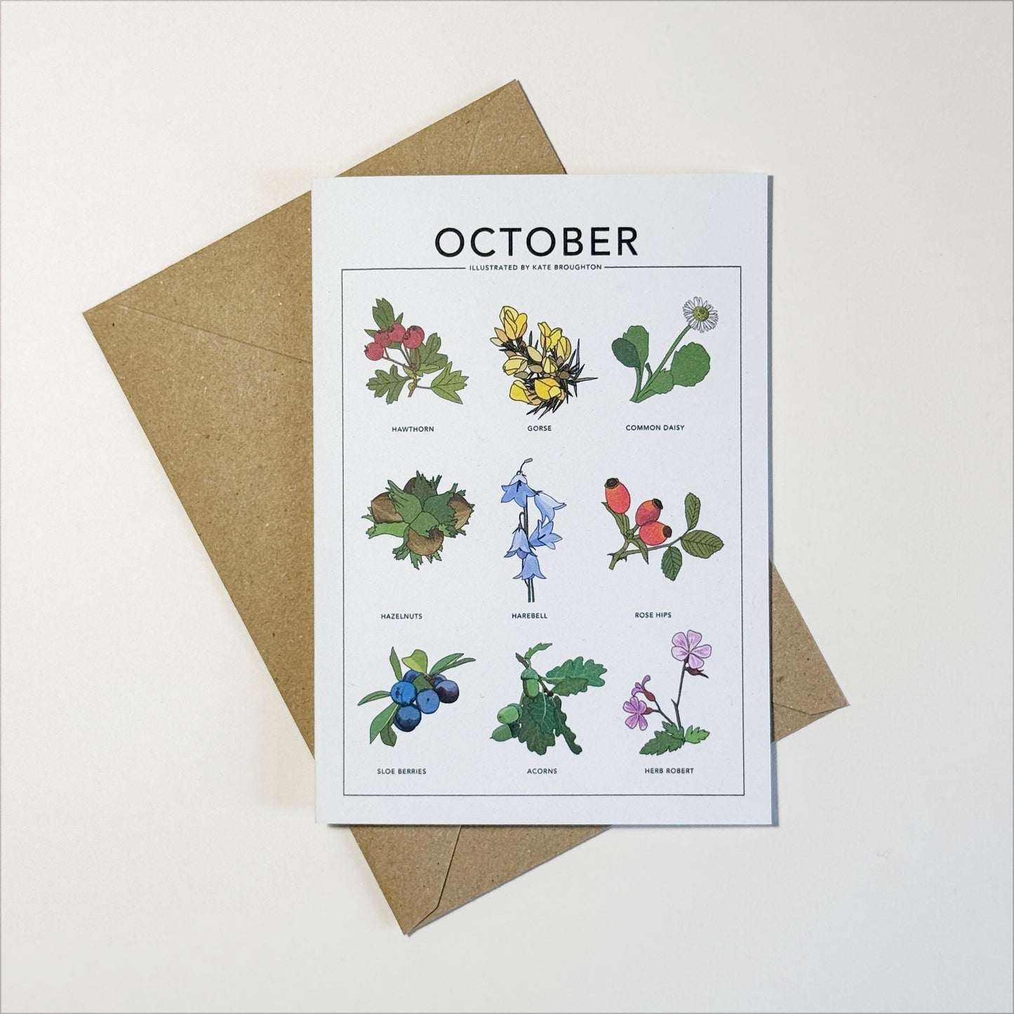 Illustrated month card - seasonal wild plants & flowers