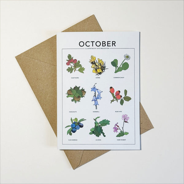 Illustrated month card - seasonal wild plants & flowers