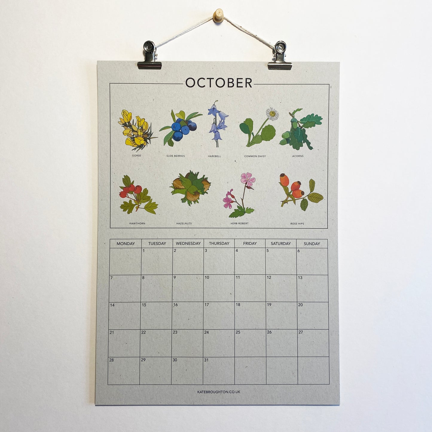 2024 Illustrated Wall Calendar