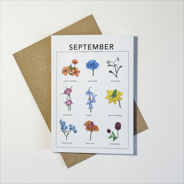 Illustrated month card - seasonal wild plants & flowers