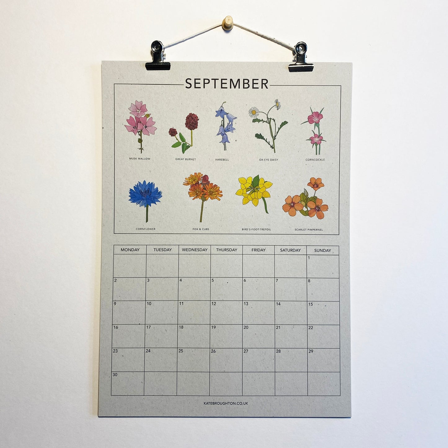 2024 Illustrated Wall Calendar