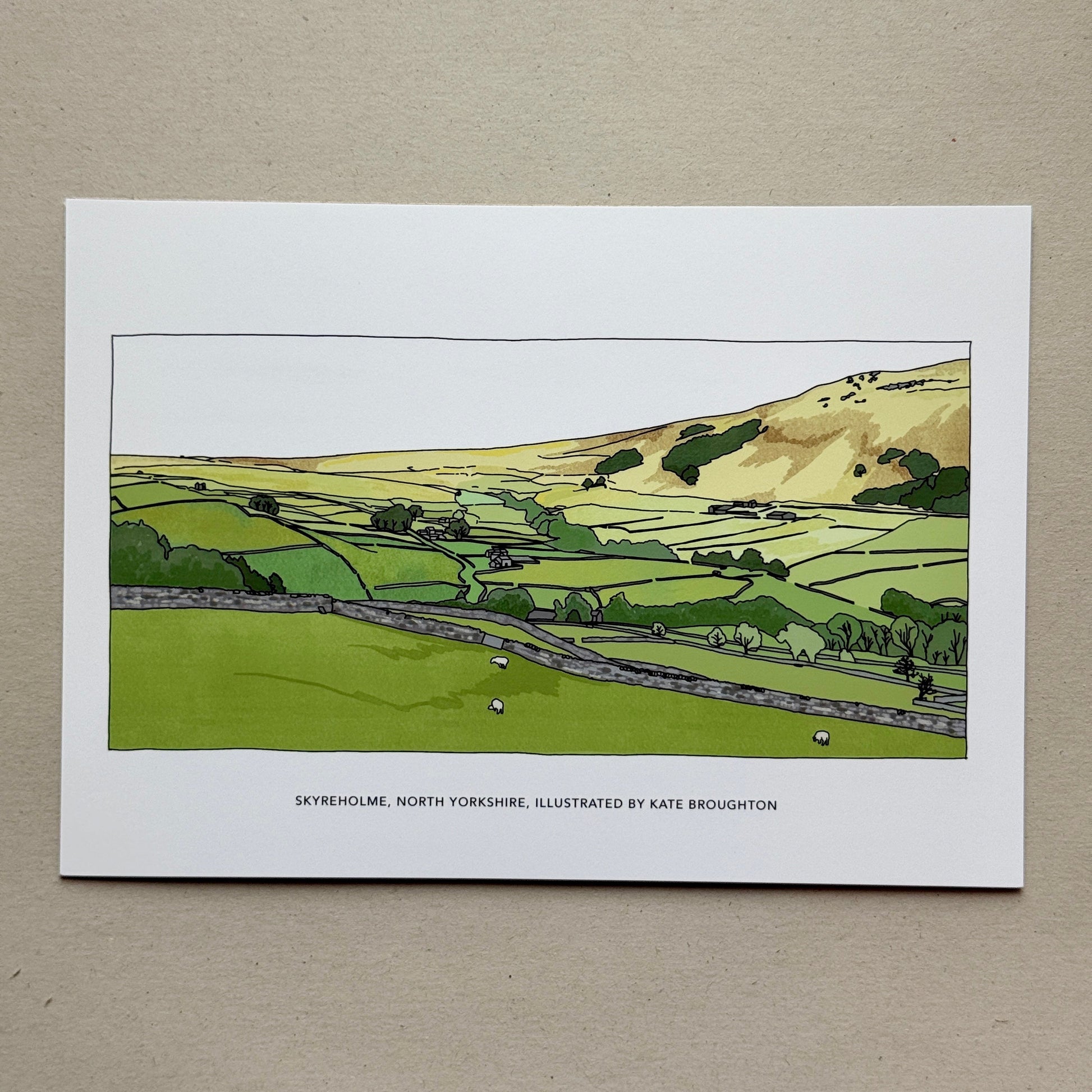 Illustration of a Yorkshire landscape with rolling hills and fields on a white background
