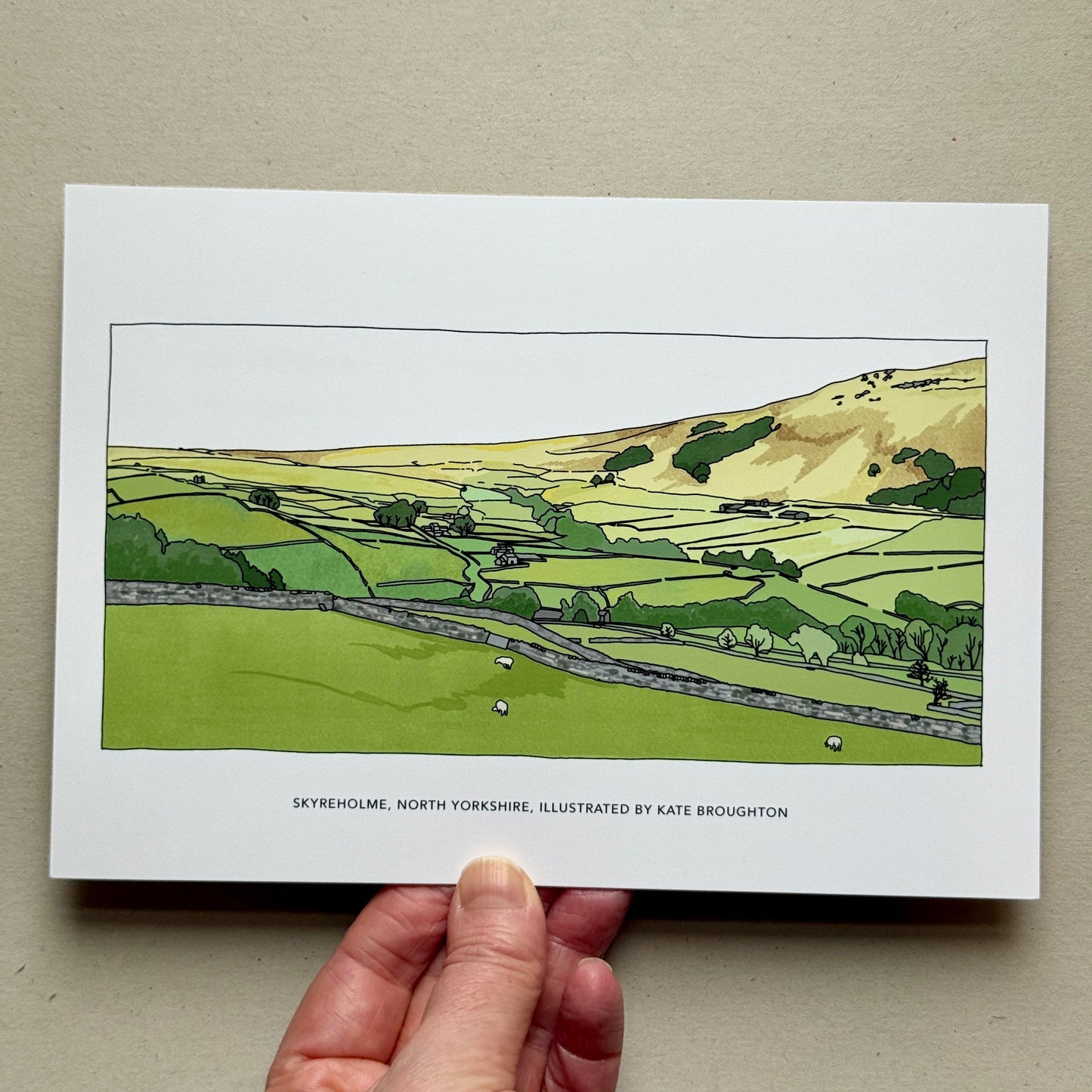 Hand holding Illustration of a Yorkshire landscape with rolling hills and fields on a white background