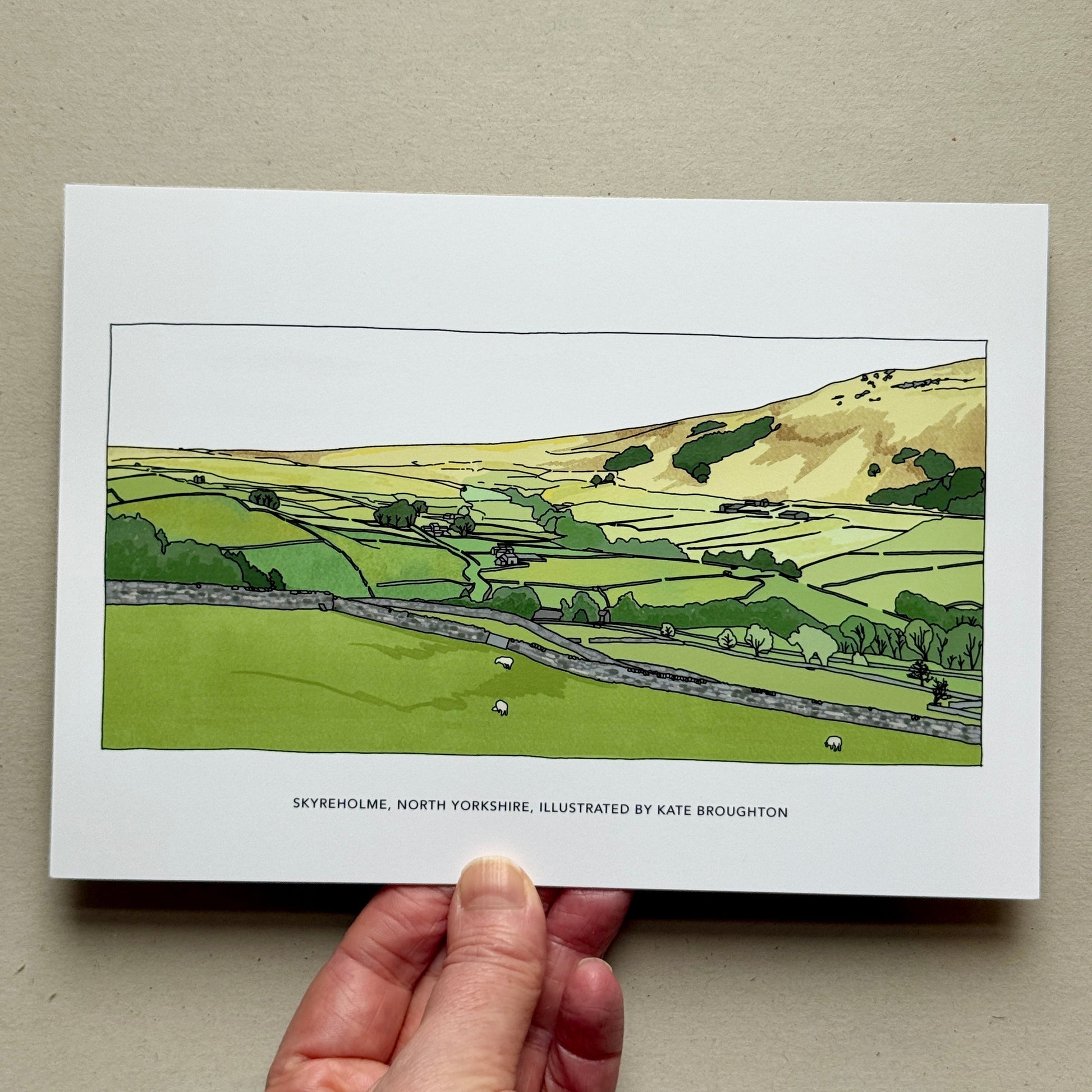Hand holding Illustration of a Yorkshire landscape with rolling hills and fields on a white background