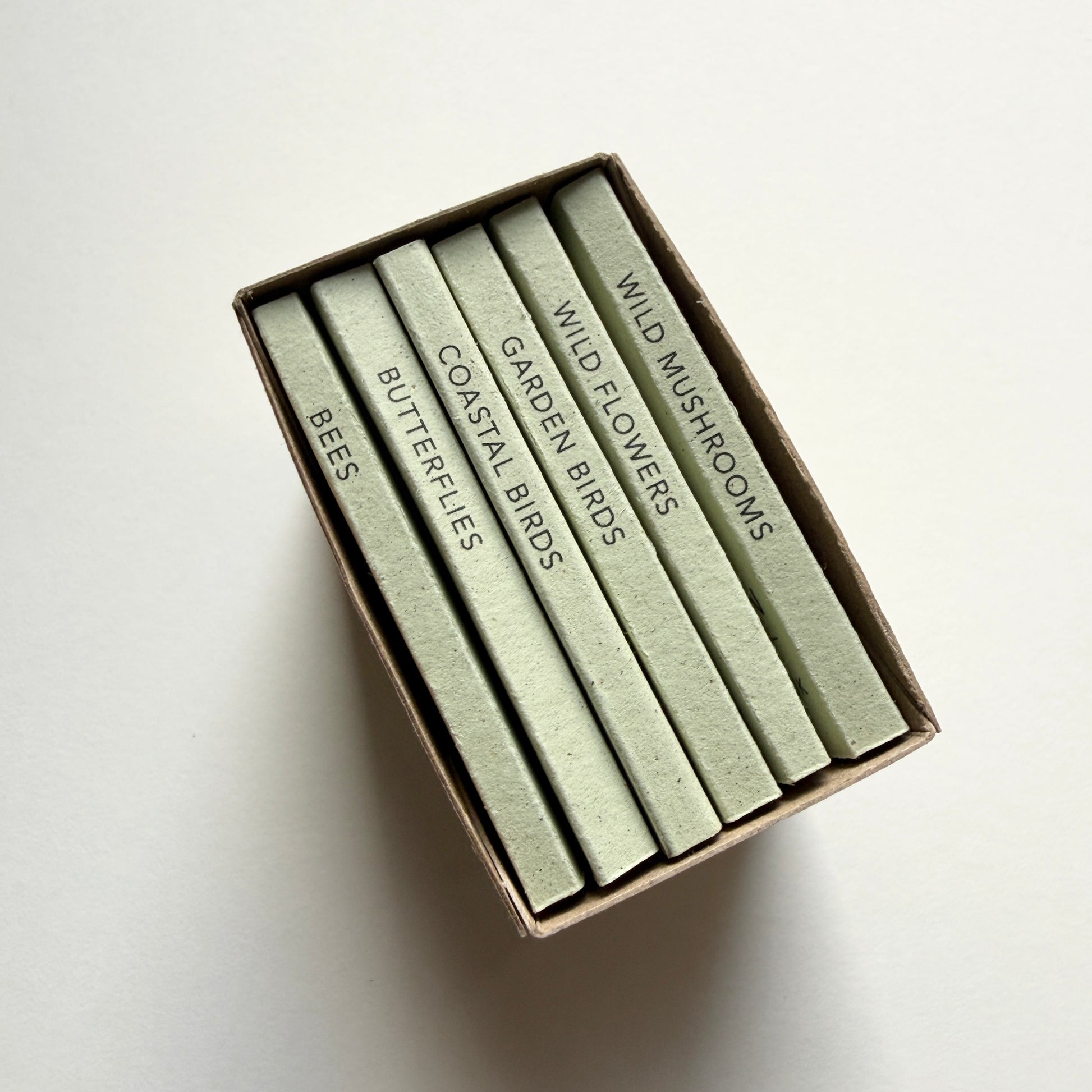 Set of tiny handmade nature books in a box with titles on the spine: bees, butterflies, coastal bird, garden birds, wild flowers and wild mushrooms