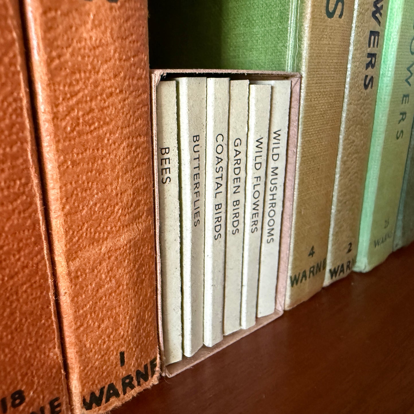 Set of small books with titles on a wooden shelf