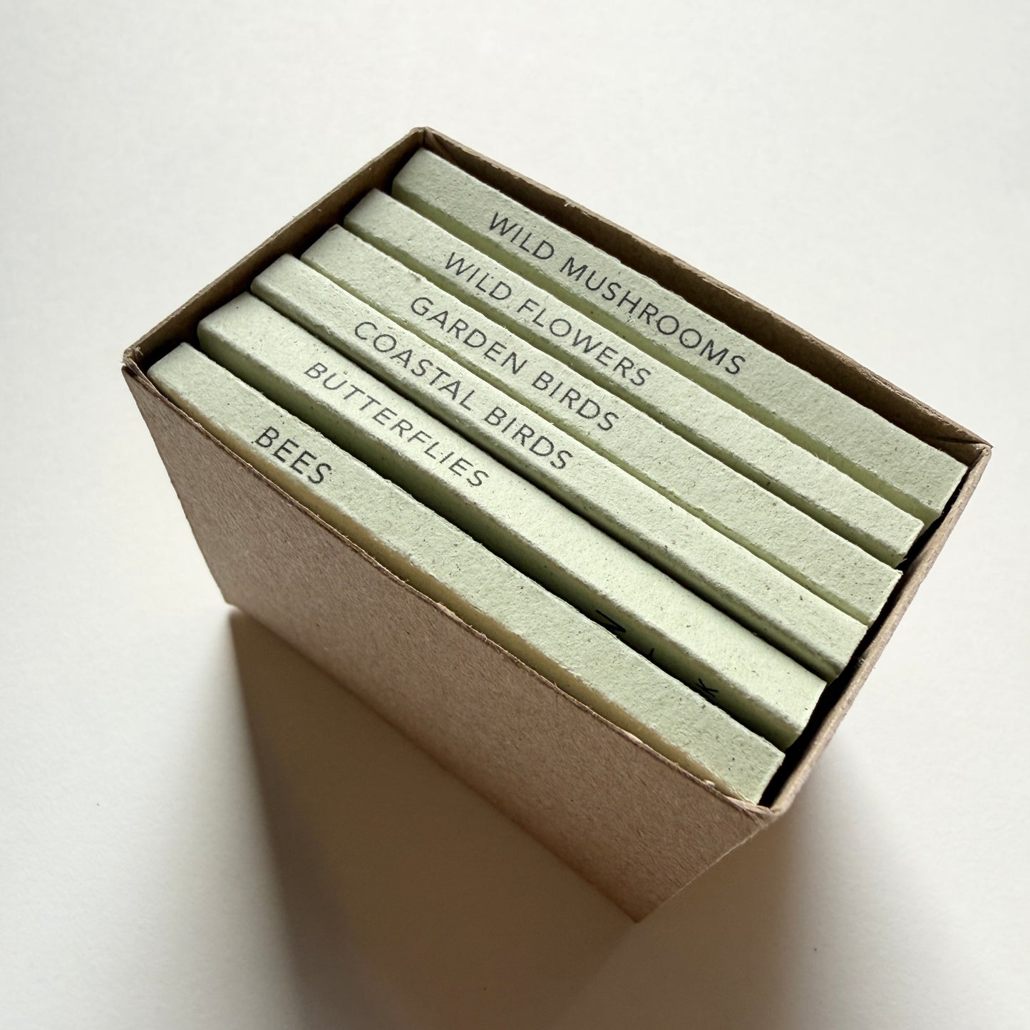 Set of tiny handmade nature books in a box with titles on the spine: bees, butterflies, coastal bird, garden birds, wild flowers and wild mushrooms