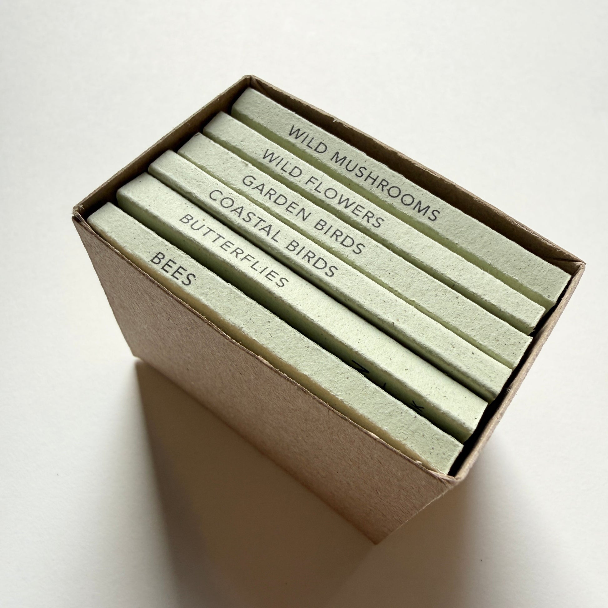 Set of tiny handmade nature books in a box with titles on the spine: bees, butterflies, coastal bird, garden birds, wild flowers and wild mushrooms