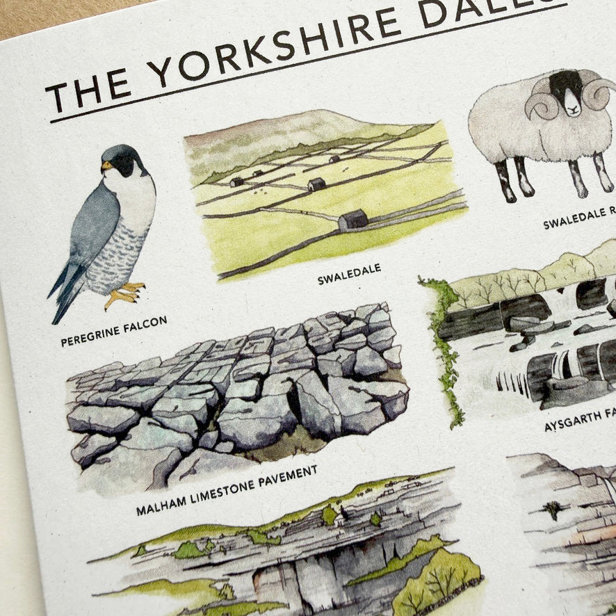 Yorkshire Dales Illustrated Card - katebroughton