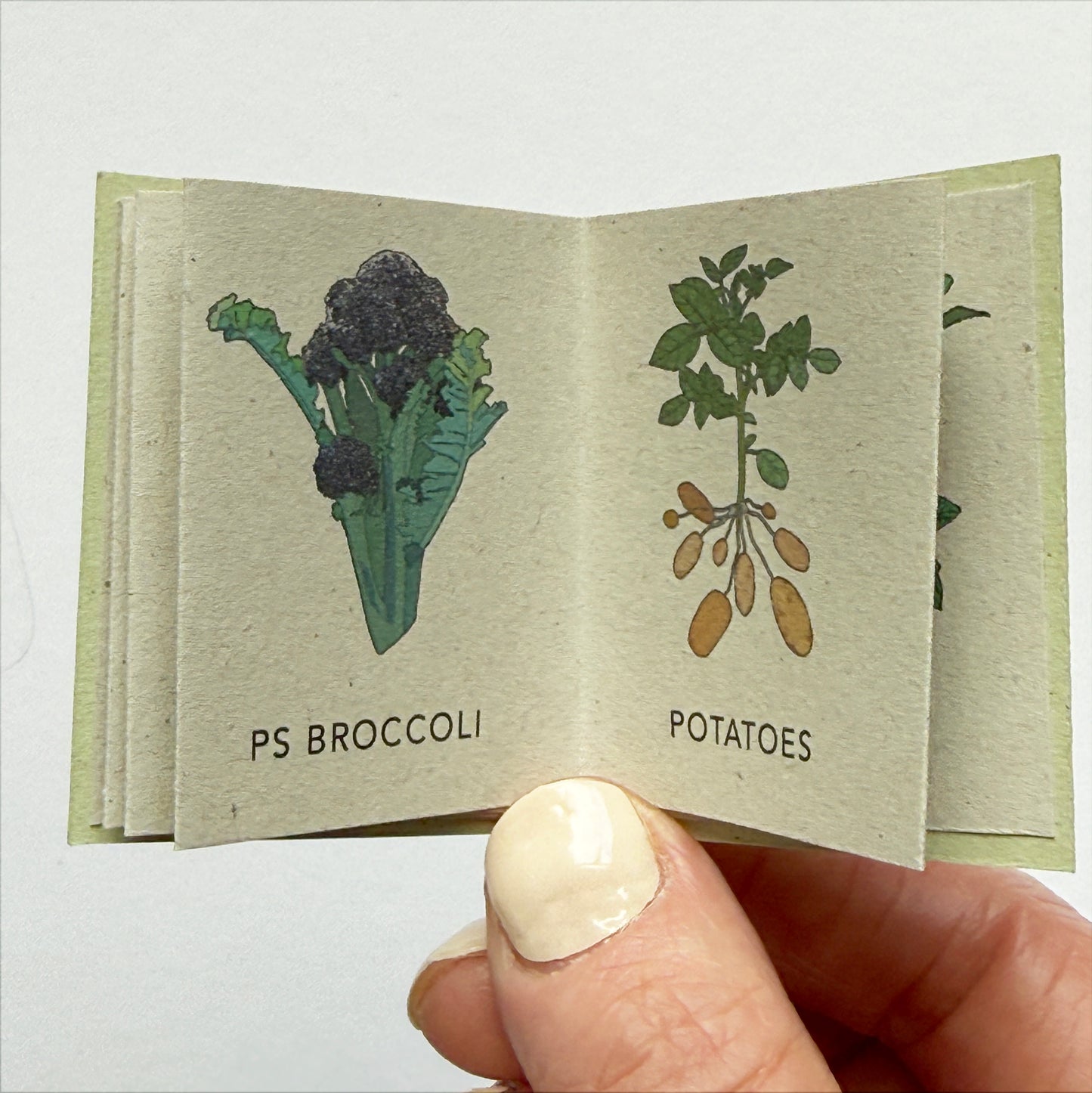 Tiny Book of Allotment Veg