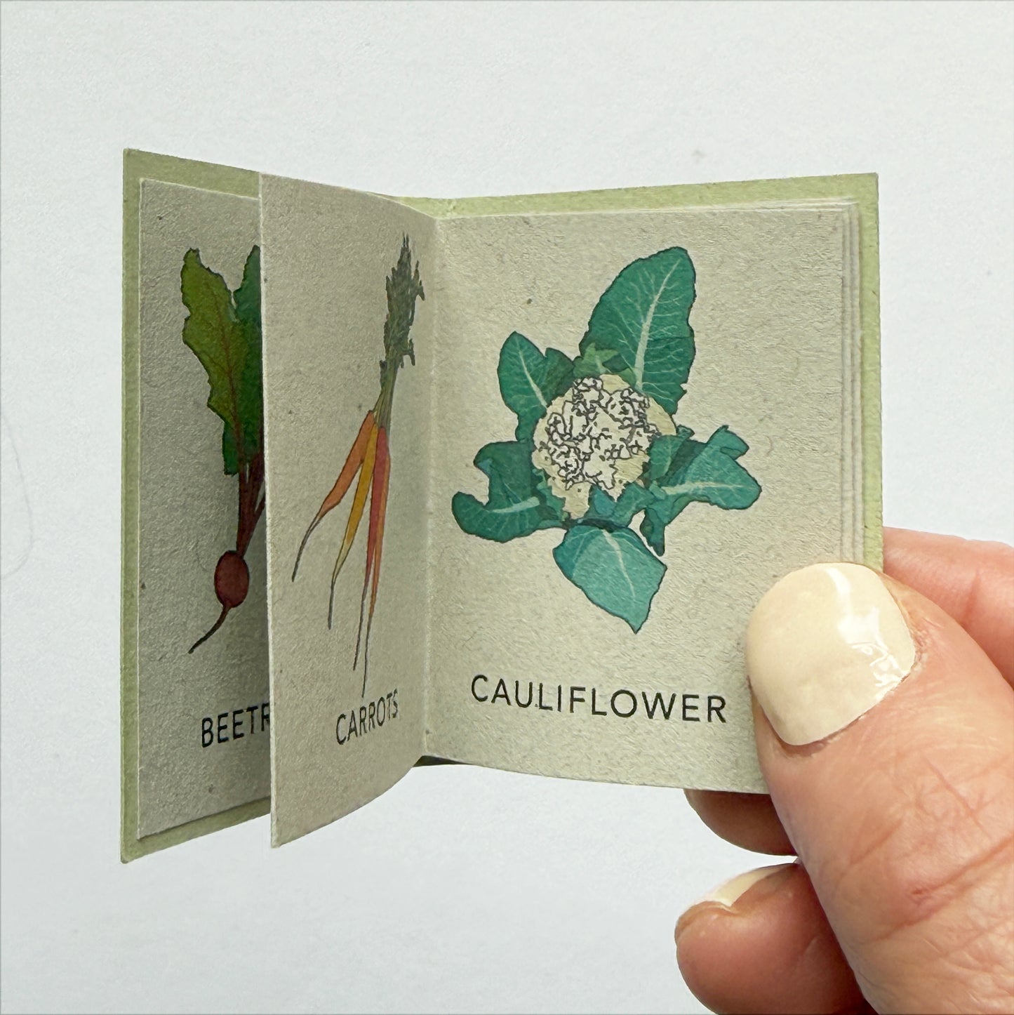 Tiny Book of Allotment Veg