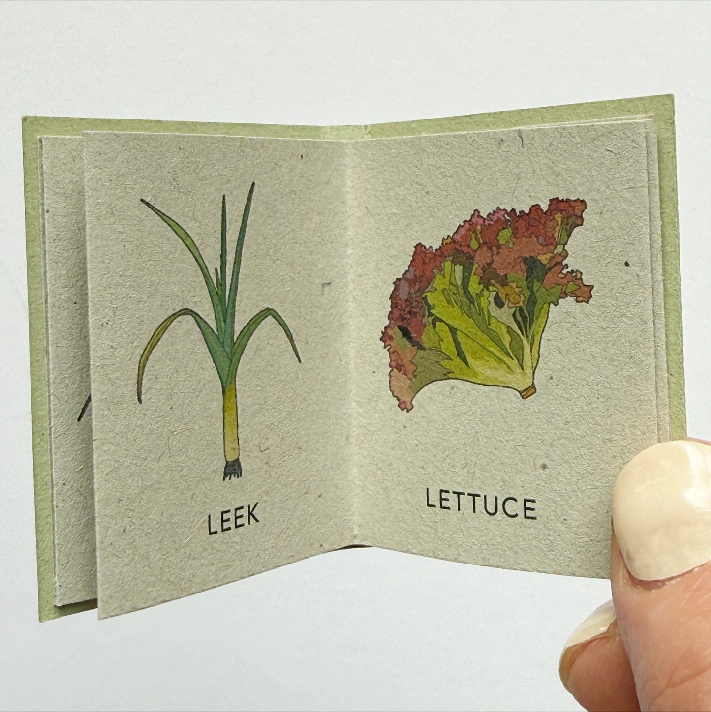 Tiny Book of Allotment Veg
