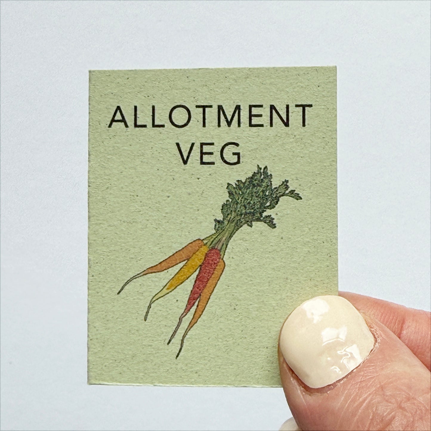 Tiny Book of Allotment Veg