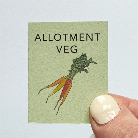 Tiny Book of Allotment Veg - katebroughton