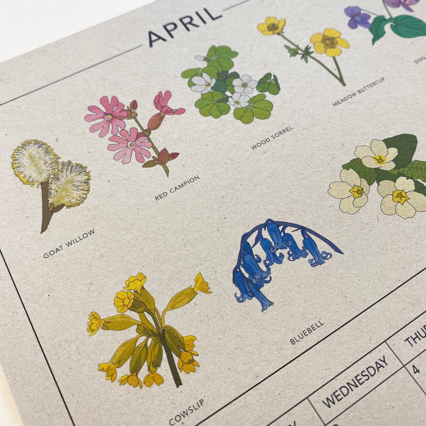 2024 Illustrated Wall Calendar