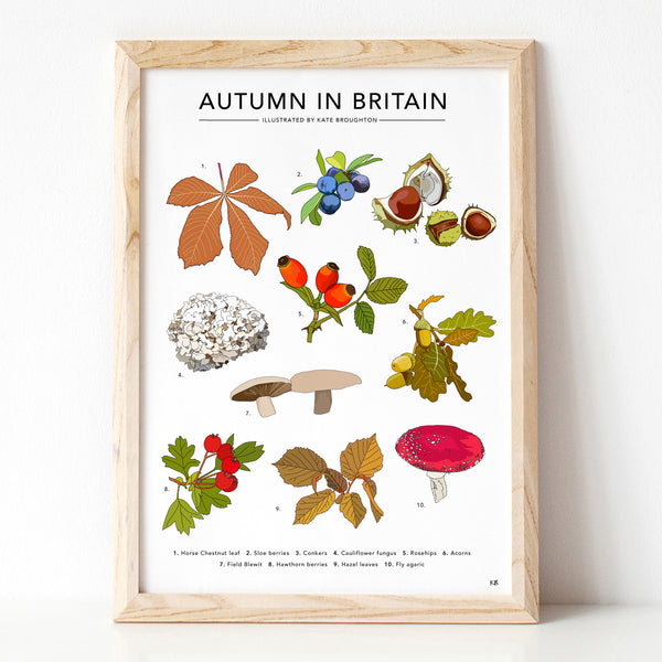 Autumn in Britain Print