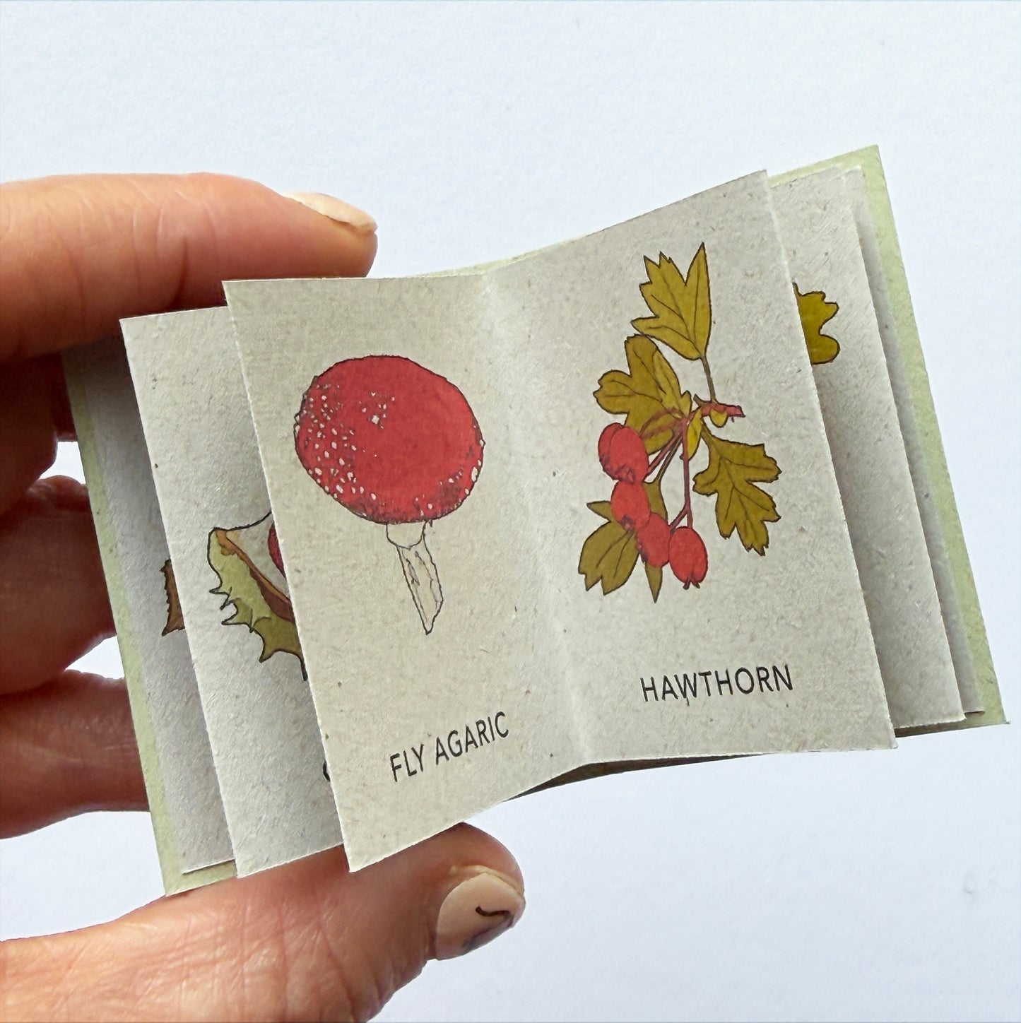 Tiny Book of Autumn