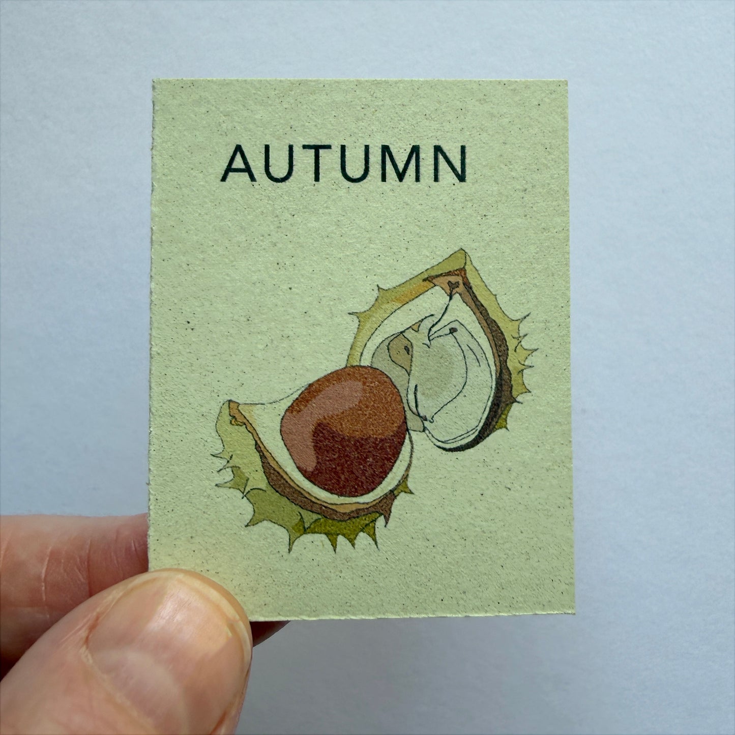 Tiny Book of Autumn