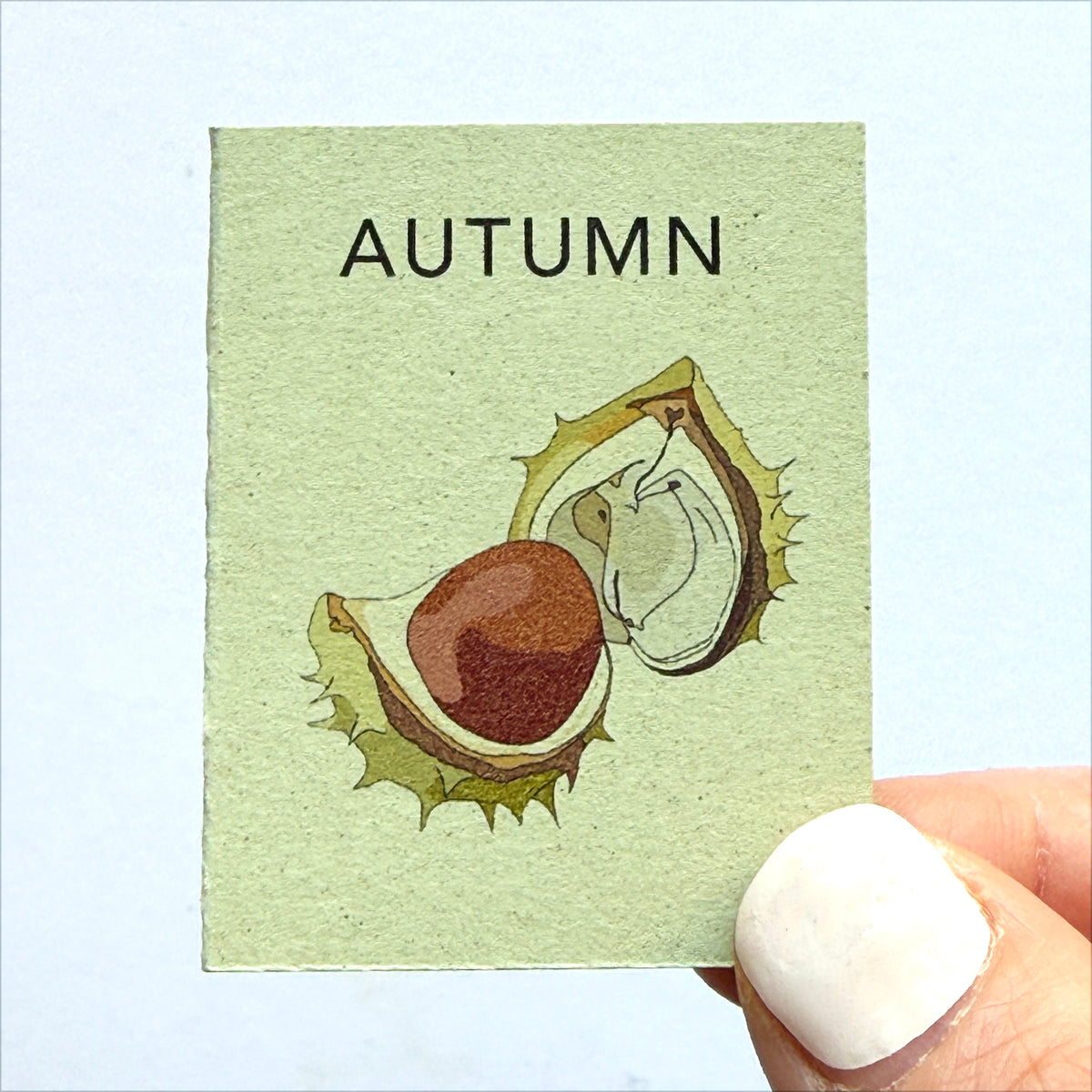 Tiny Book of Autumn