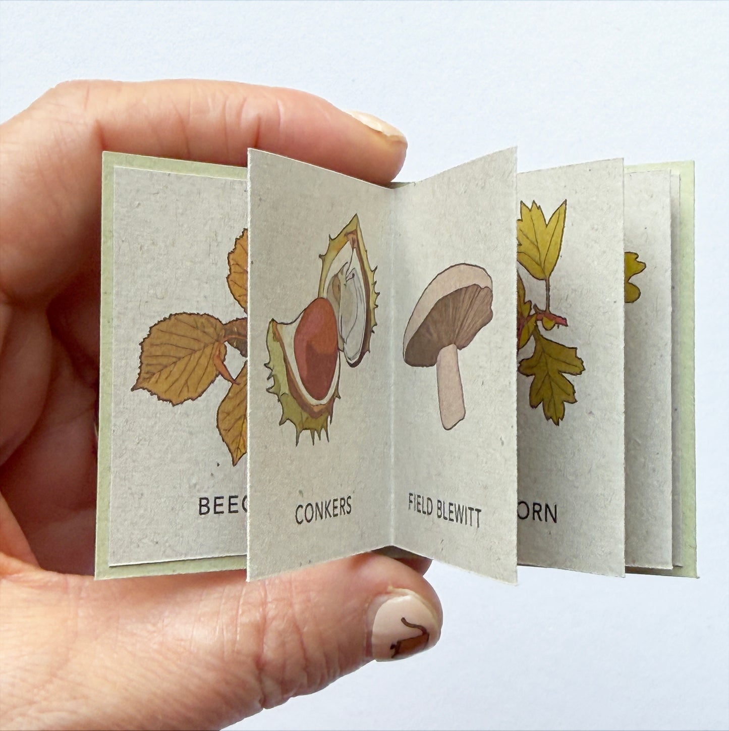 Tiny Book of Autumn