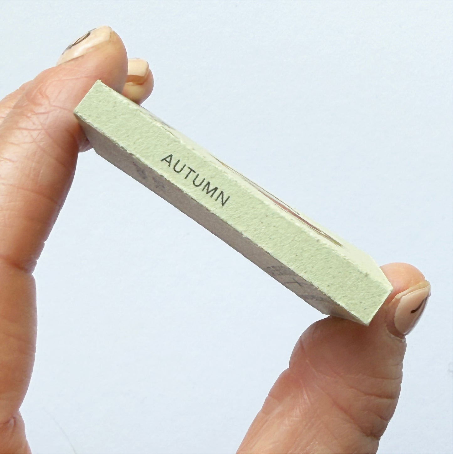 Tiny Book of Autumn