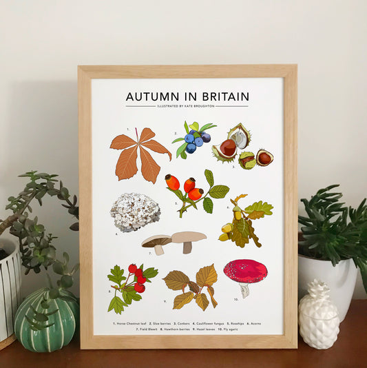 Autumn in Britain Print