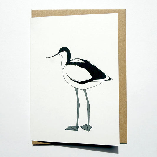 Avocet Illustrated Card - katebroughton