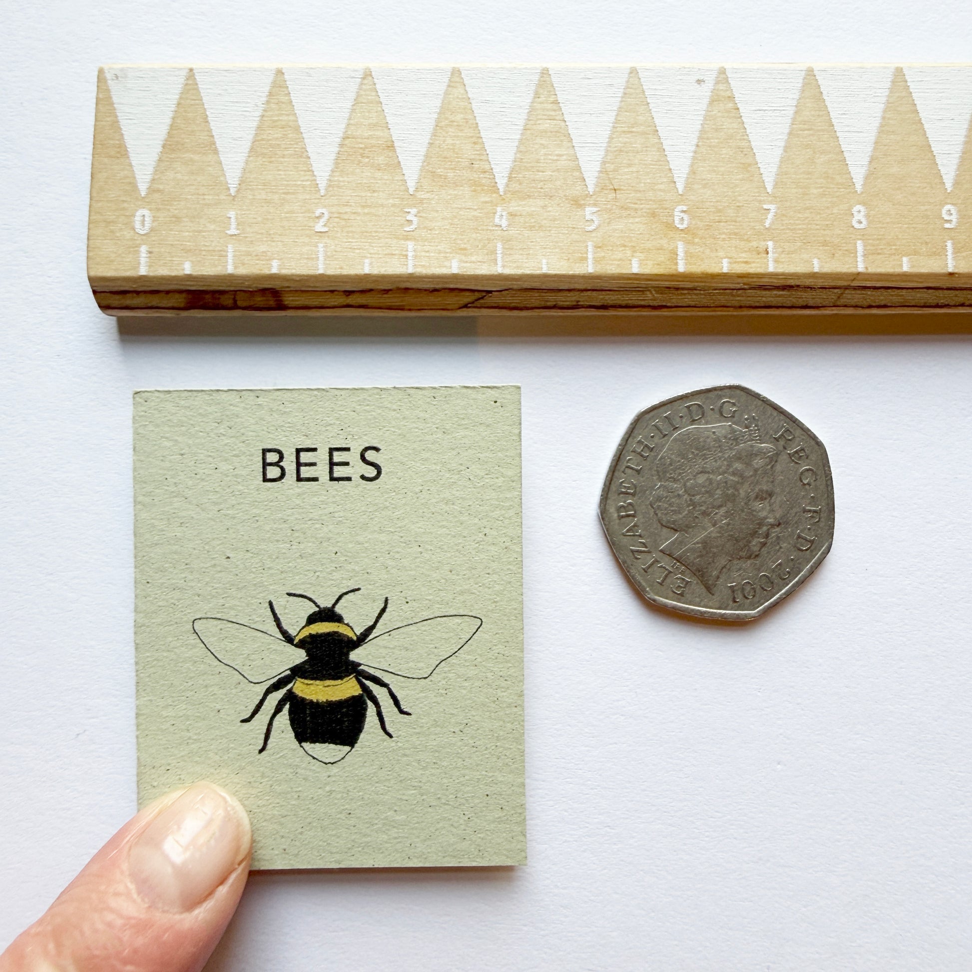 Tiny Book of Bees - cover next to a 50p piece mini book gift
