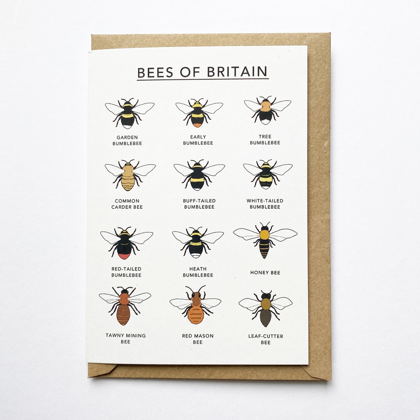 Bees of Britain Illustrated Card - katebroughton