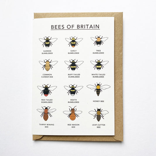 Bees of Britain Illustrated Card