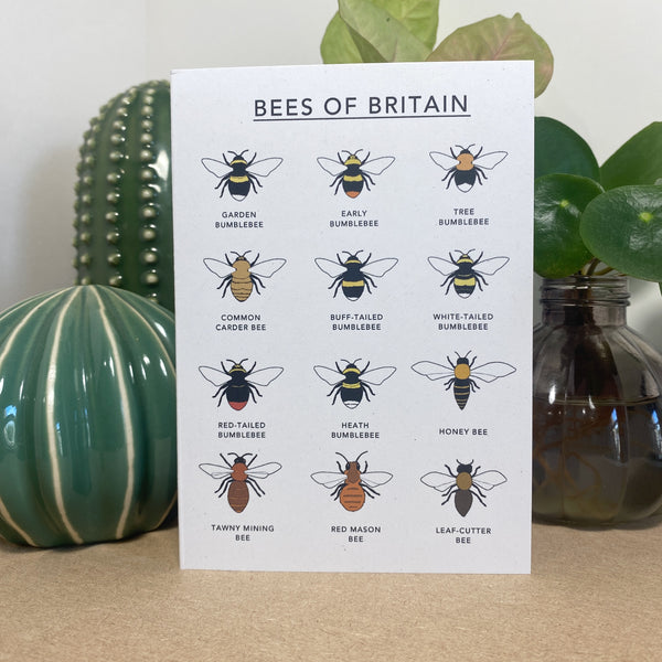 Bees of Britain Illustrated Card