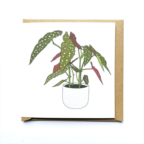 Begonia Maculata Houseplant Card