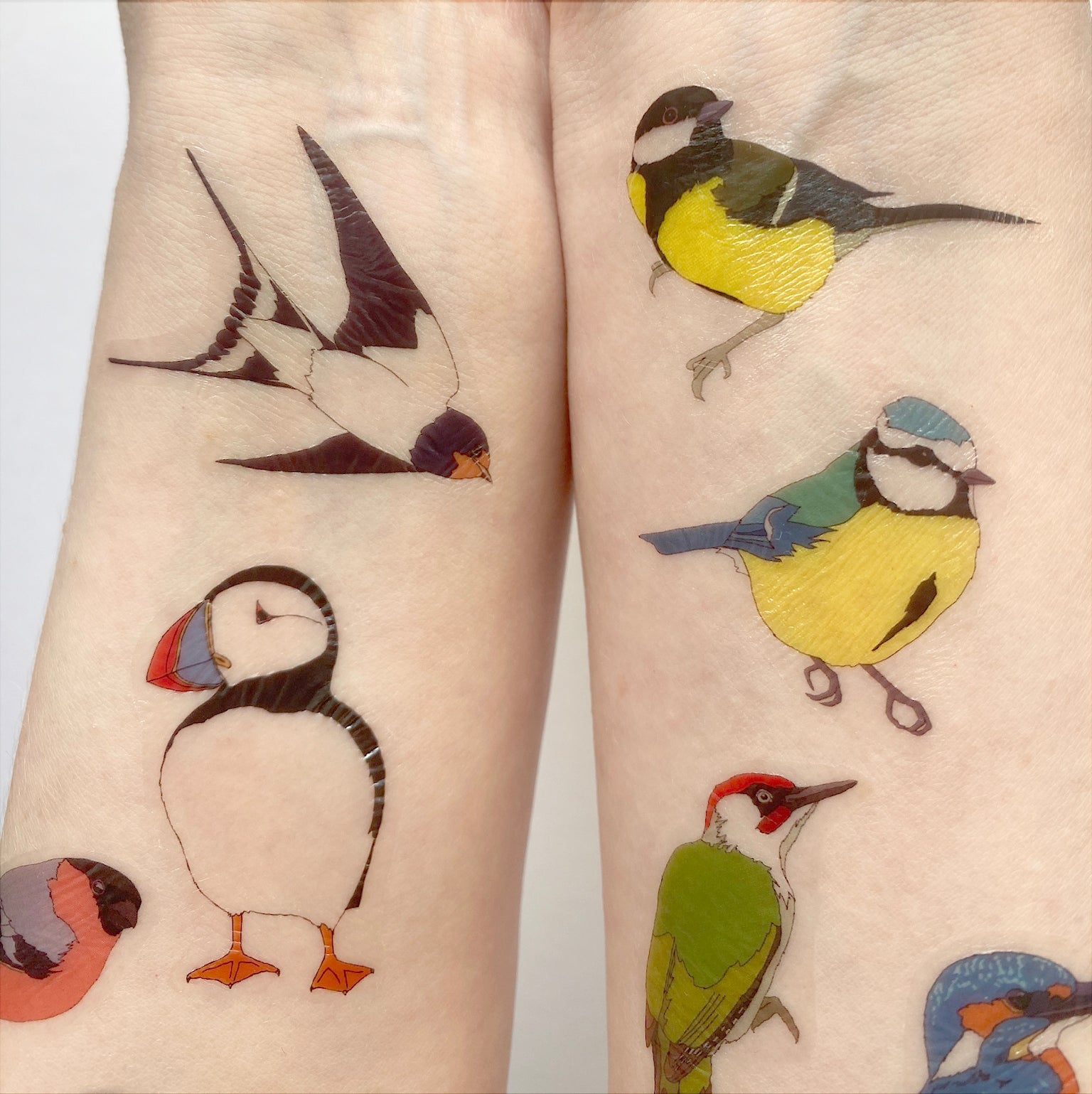 Bird Temporary Tattoos - katebroughton