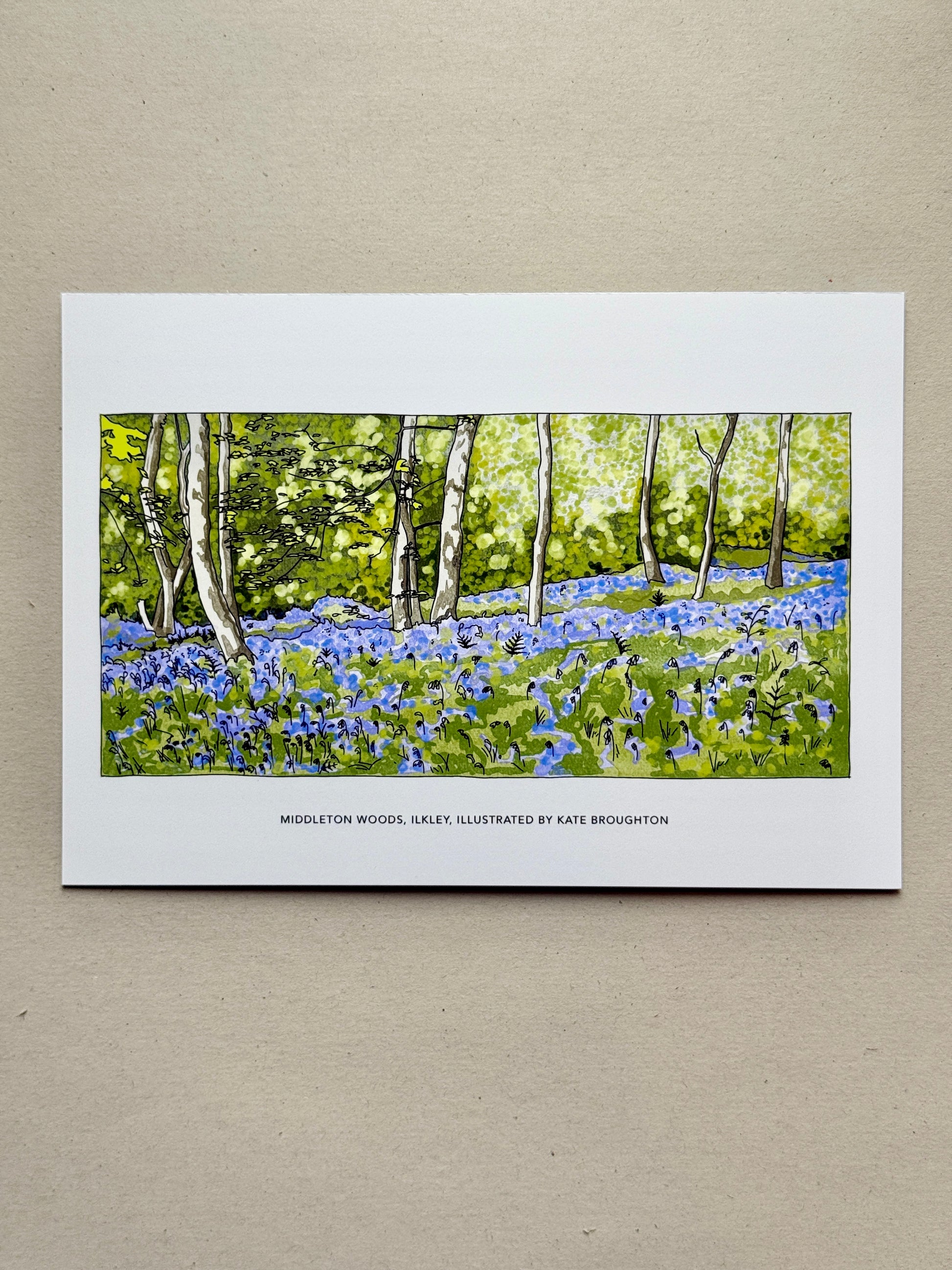 Print of an illustration of a forest scene with bluebell flowers and trees.