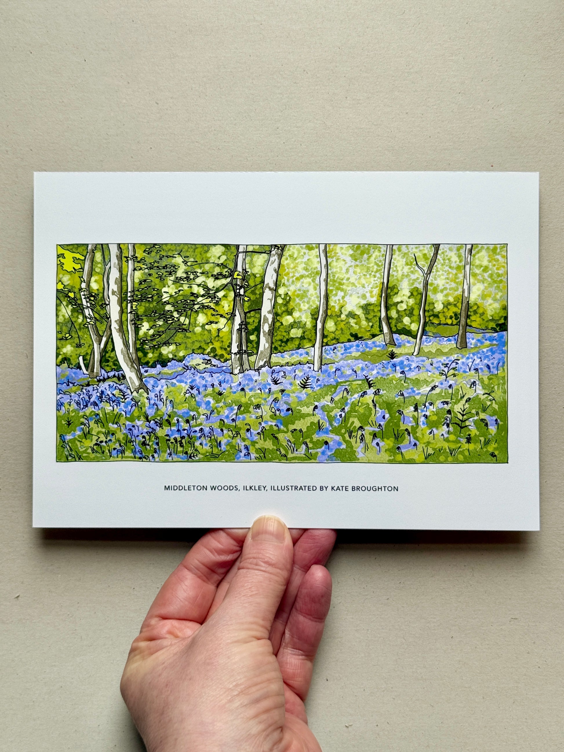 Hand holding a print of a woodland scene with bluebell flowers and trees.