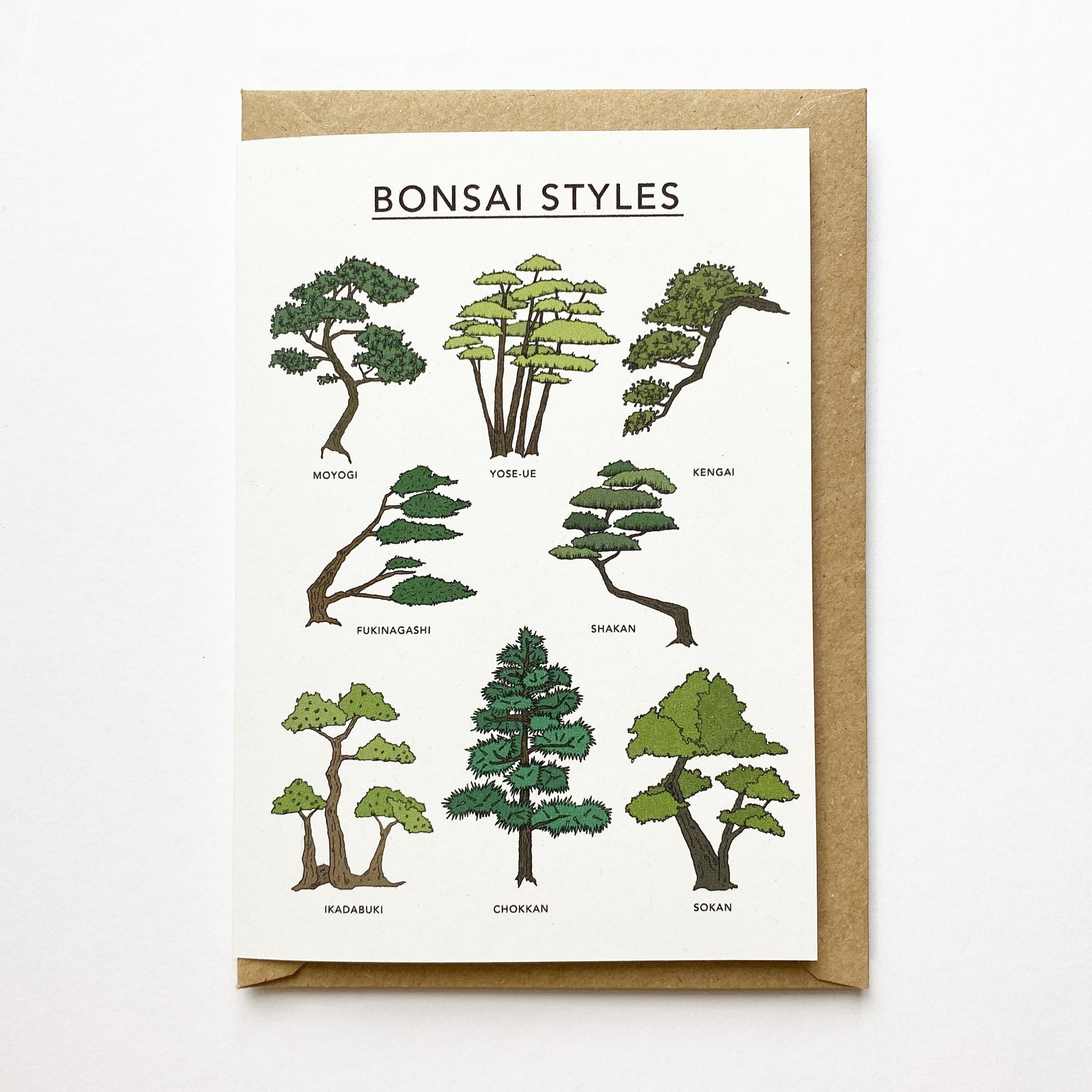 Bonsai Styles Illustrated Card - katebroughton
