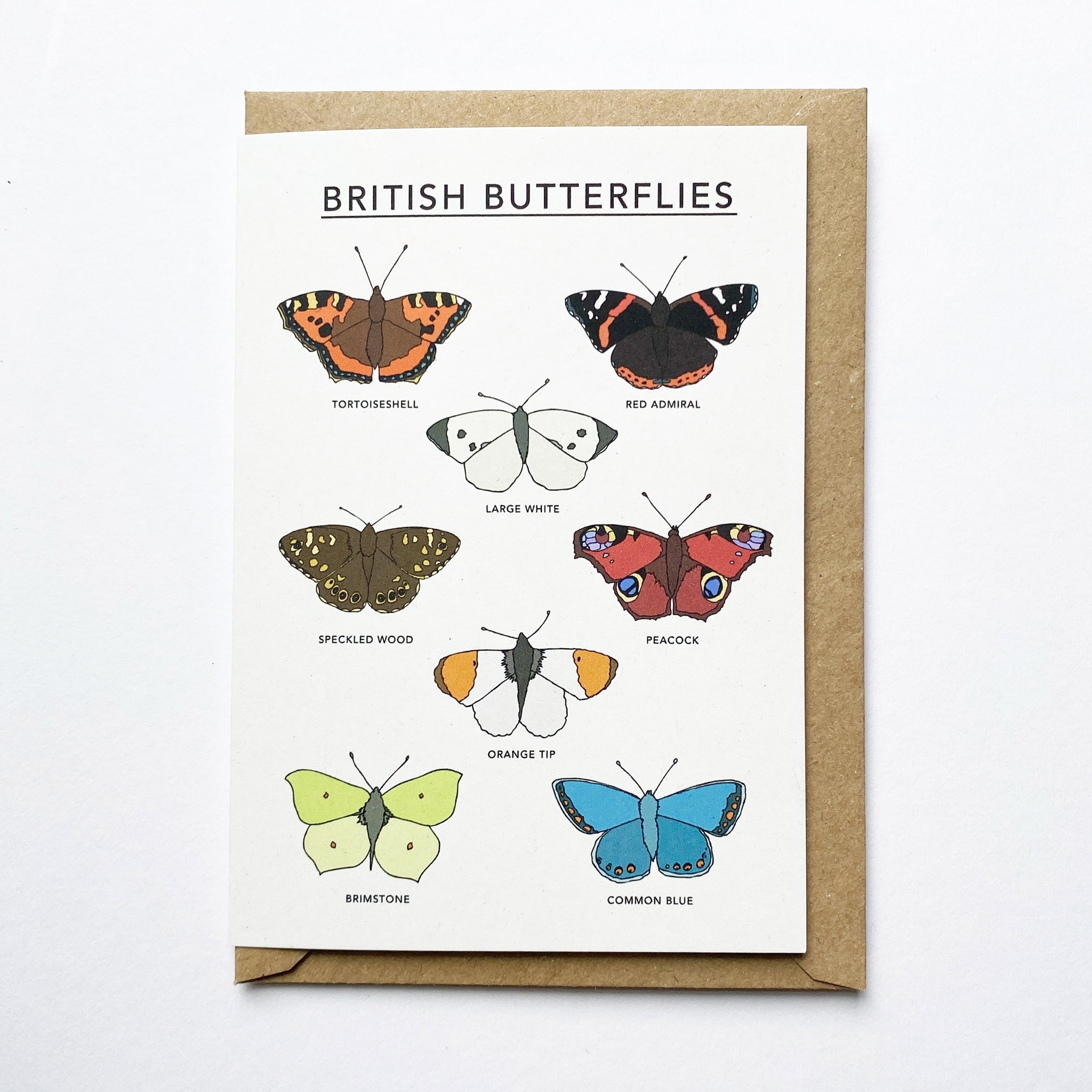 British Butterflies Illustrated Card