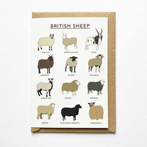 British Sheep Illustrated Card