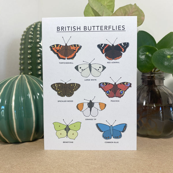 British Butterflies Illustrated Card