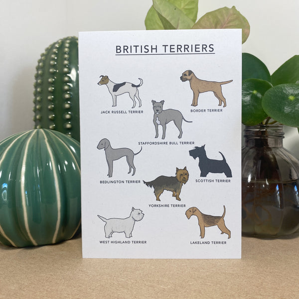 British Terriers Illustrated Card