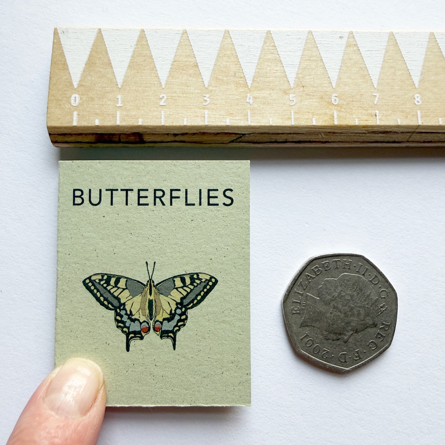 Tiny Book of Butterflies -next to 50p coin and ruler to show size 