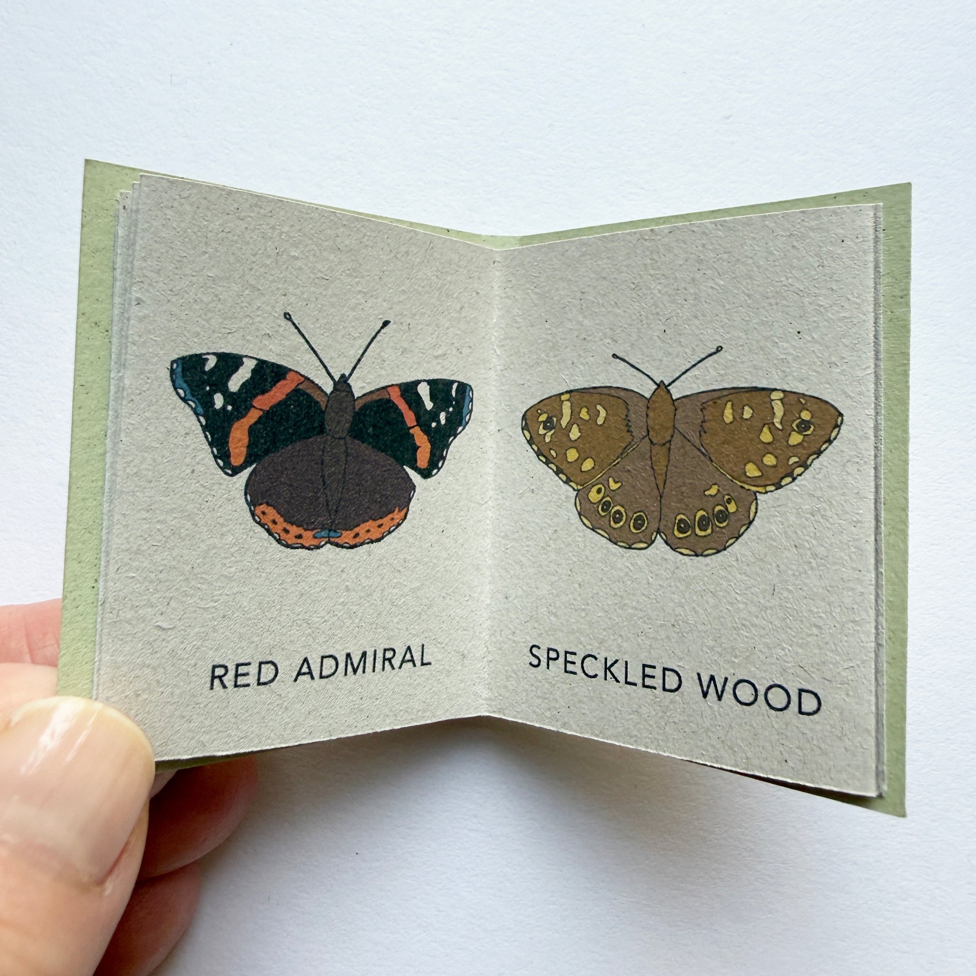 red admiral and speckled wood butterfly illustrations in Tiny Book of Butterflies - katebroughton