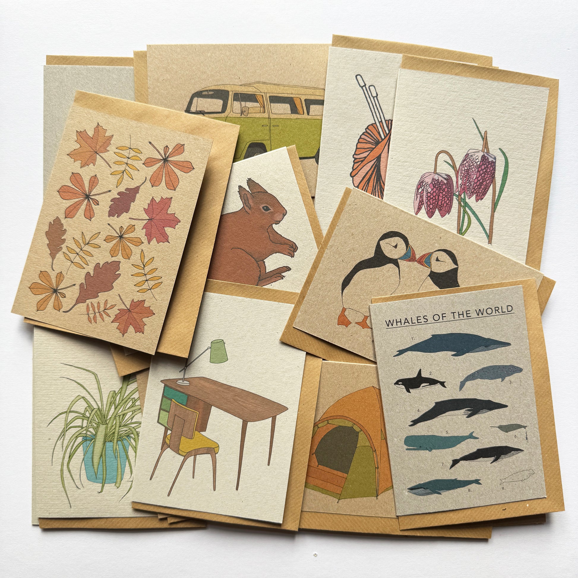 Lucky dip sale card pack (10 cards, rrp £30) - katebroughton