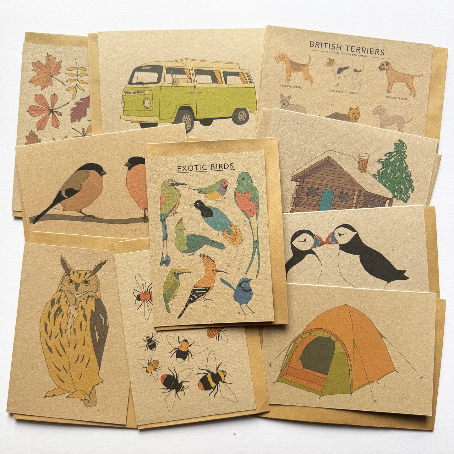 Lucky dip sale card pack (10 cards, rrp £30) - katebroughton