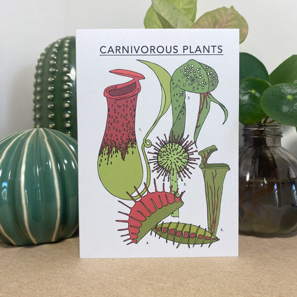 Carnivorous Plants Illustrated Card