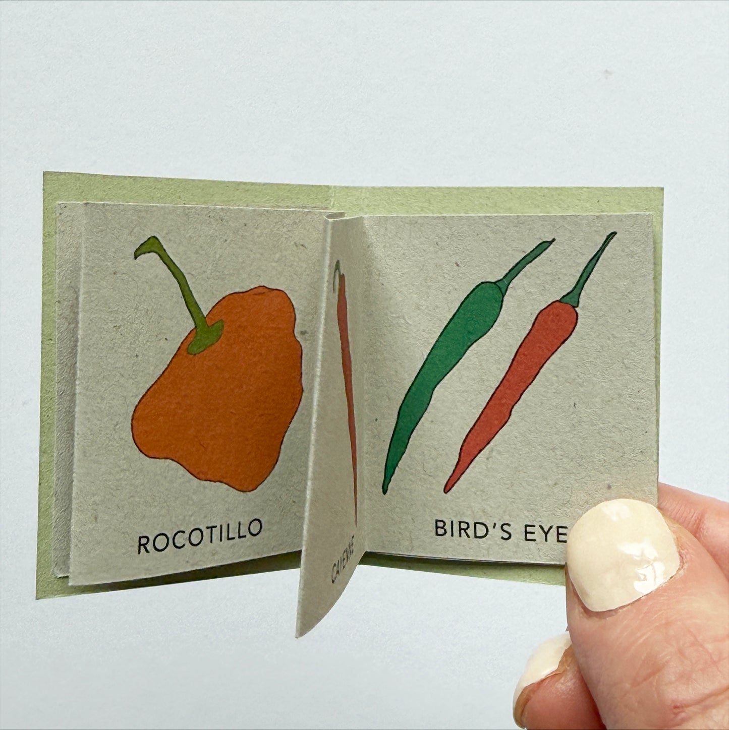 Tiny Book of Chilli Peppers