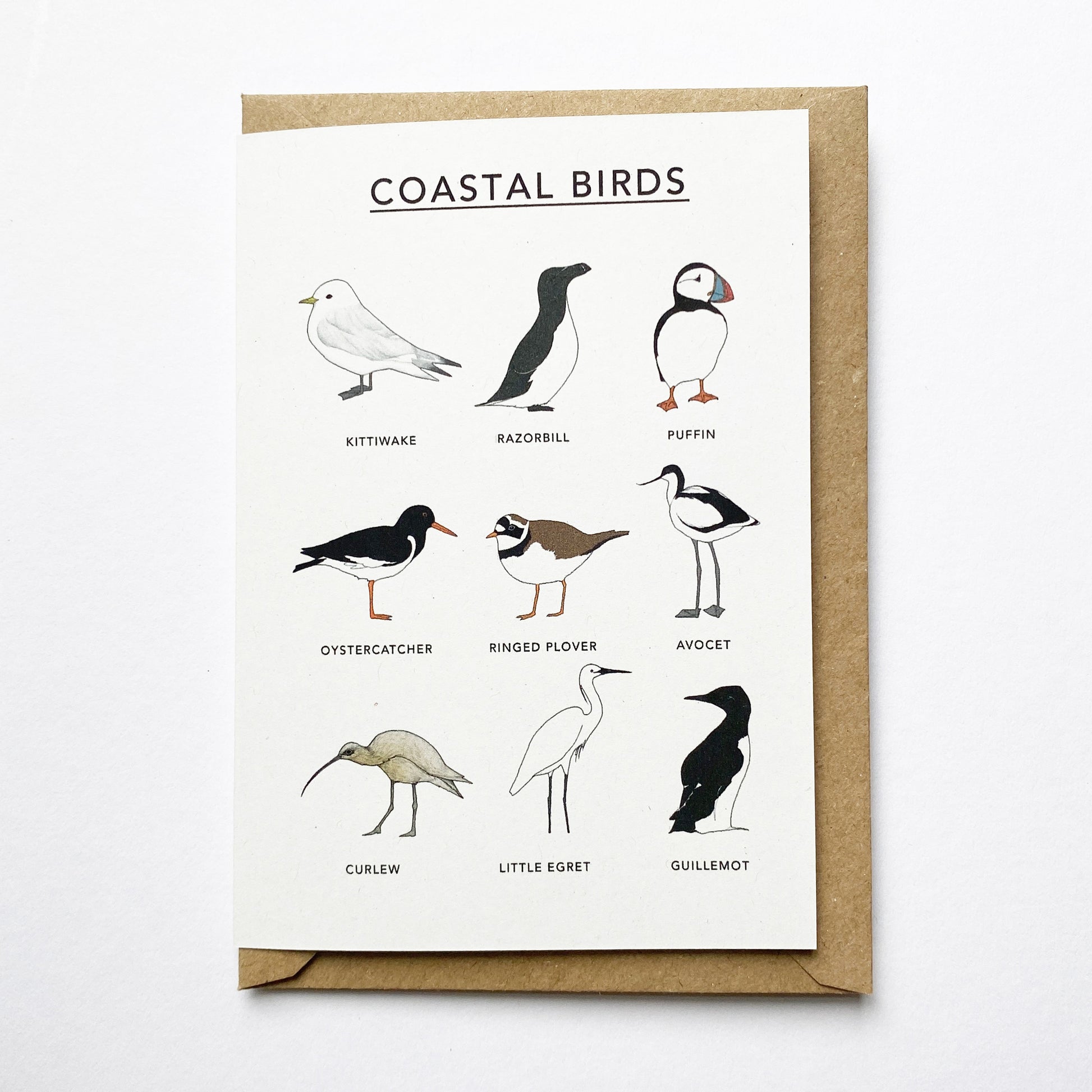 Coastal Birds Illustrated Card - katebroughton